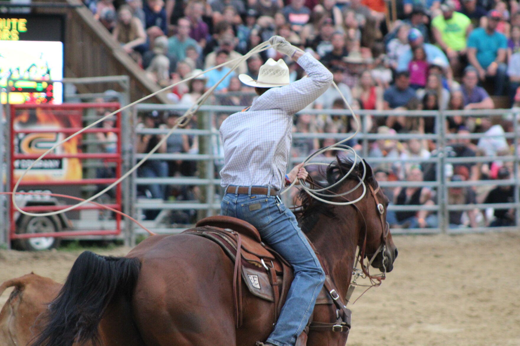 Lasso time